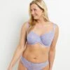 SOUTIEN-GORGE GRANDS BONNETS LILAS -Triumph Soldes 11291104 F