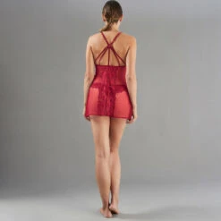 NUISETTE DENTELLE BORDEAUX -Triumph Soldes 43190000 D